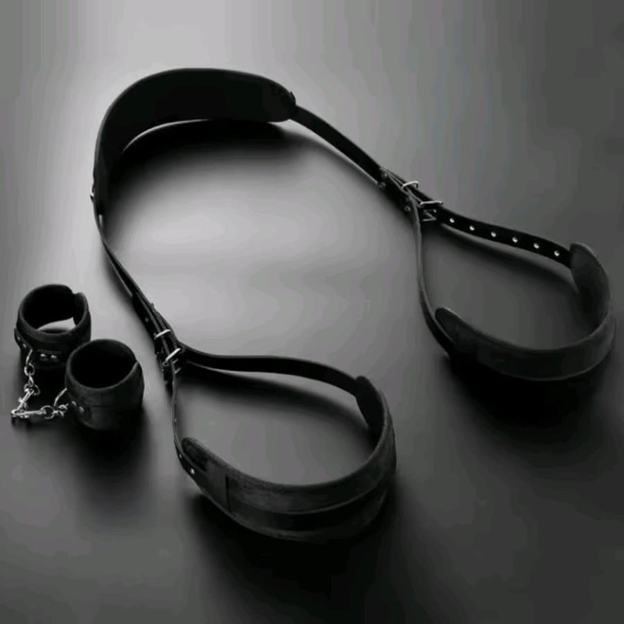 Dominus Arnes de Restricción